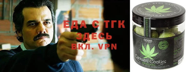 индика Белокуриха