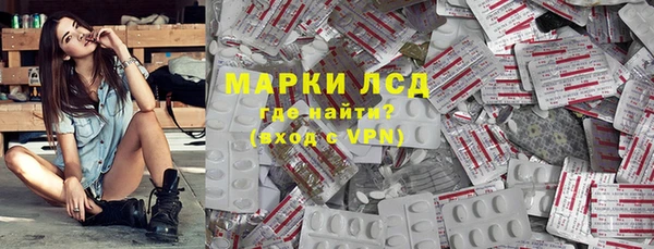 индика Белокуриха