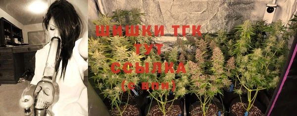 индика Белокуриха