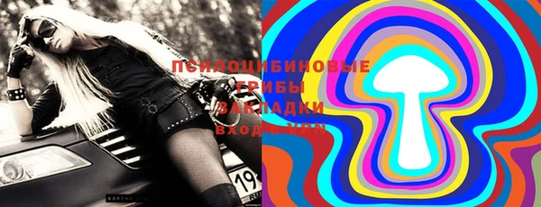индика Белокуриха