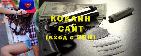 индика Белокуриха