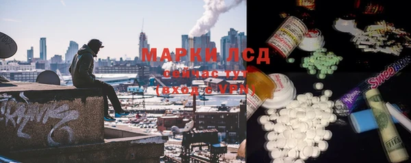 индика Белокуриха