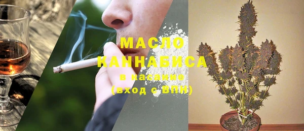 индика Белокуриха